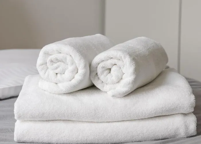 Plac Wilsona Comfy By Bookinghost